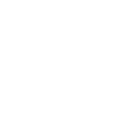 The Carousel Club